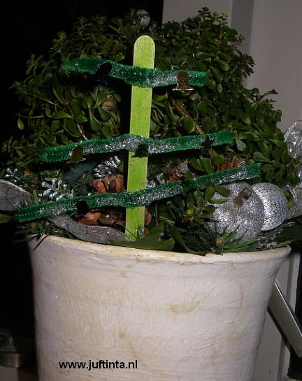 kerstboom lollystokje in plant